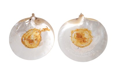 Lot 124 - λ TWO CARVED MOTHER-OF-PEARL SHELL PLAQUES WITH CHRISTIAN ICONOGRAPHY